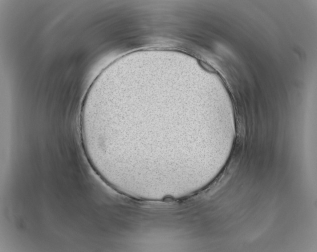 X0000112041487200909141107