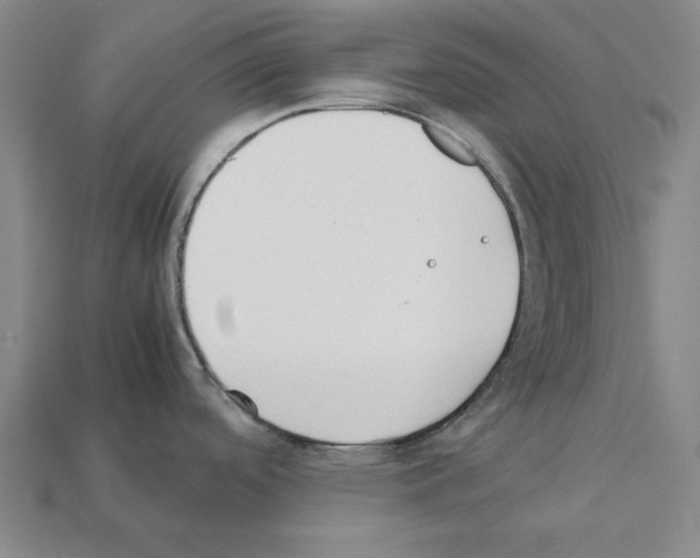 X0000112041488200909141107