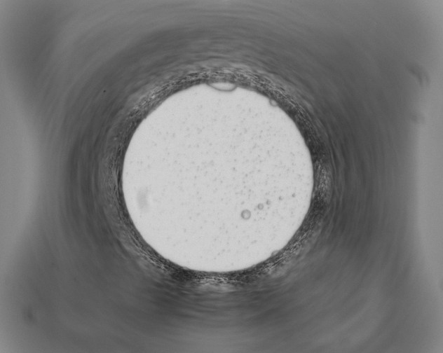 X0000112041489200909141106