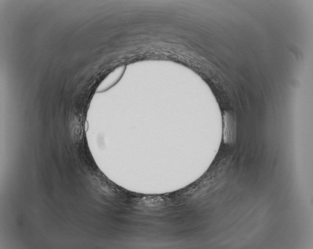 X0000112041491200909141106