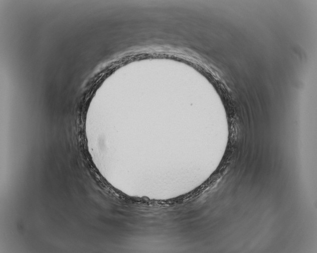 X0000112041494200909141106