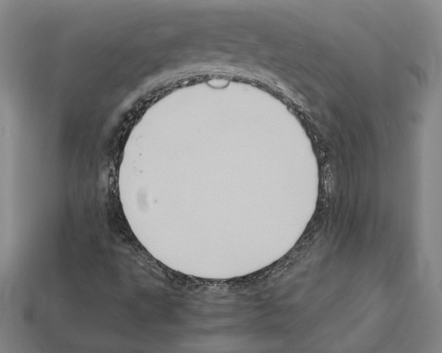 X0000112041495200909141106