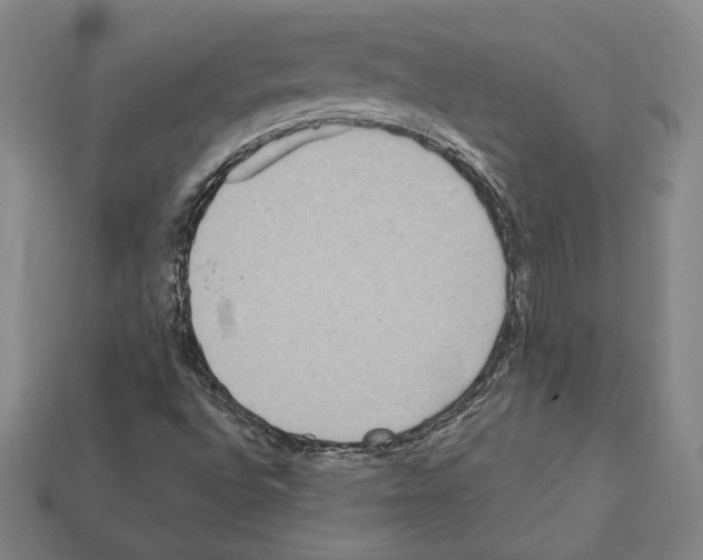 X0000112041496200909141106