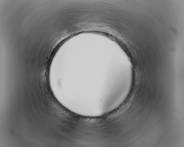 X0000112041497200909141106