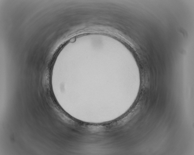 X0000112041498200909141106