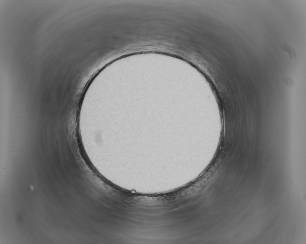 X0000112041500200909141106
