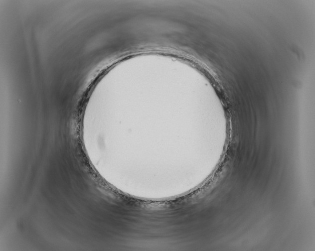 X0000112041501200909141106