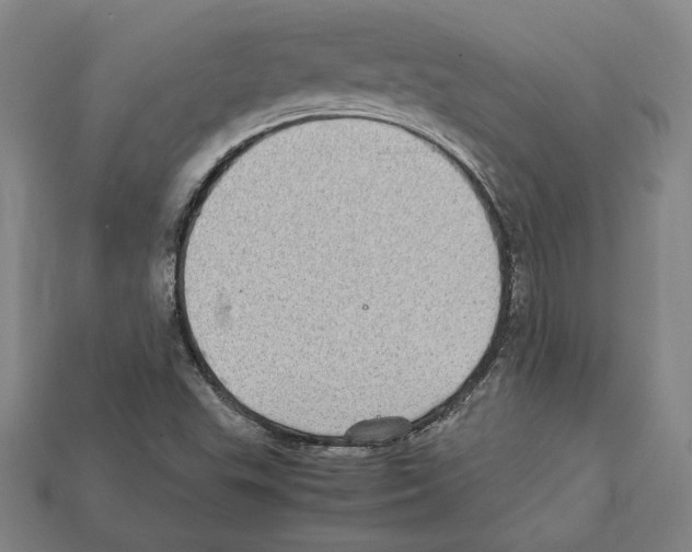 X0000112041503200909141106