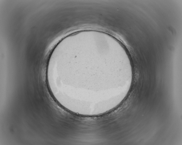 X0000112041504200909141106