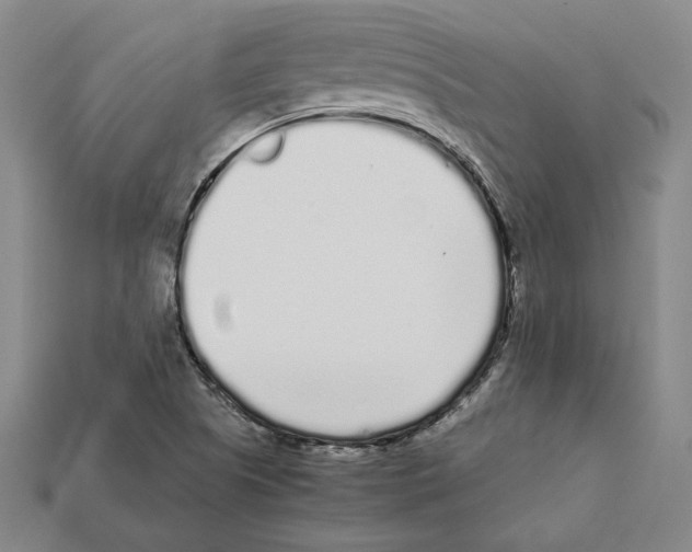 X0000112041505200909141106