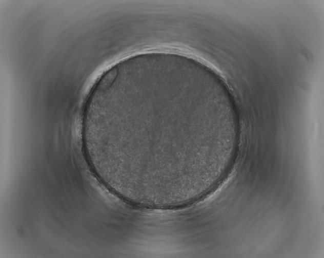 X0000112041506200909141106