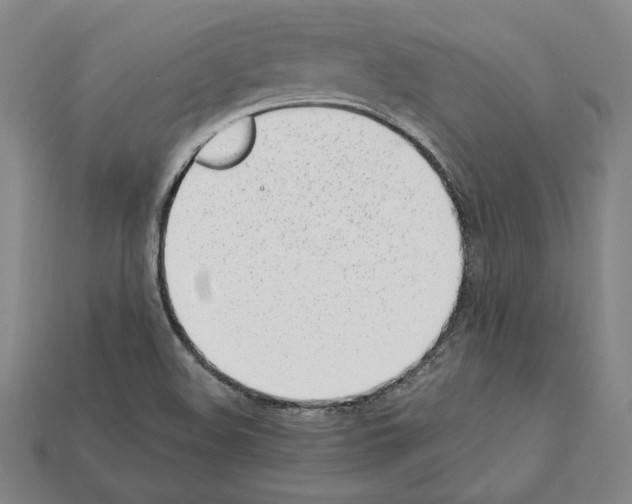 X0000112041508200909141106