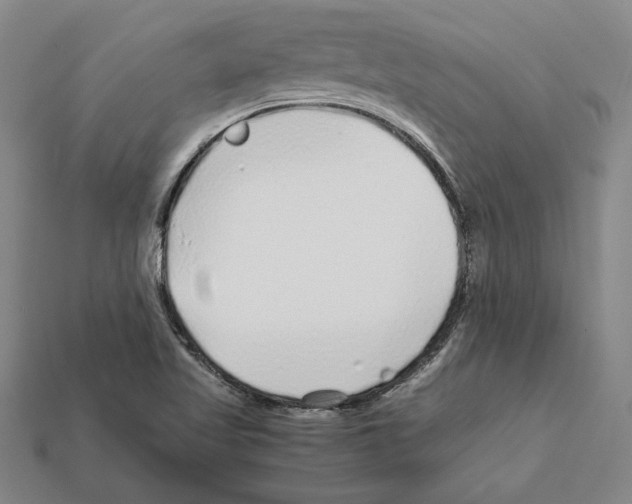 X0000112041509200909141106