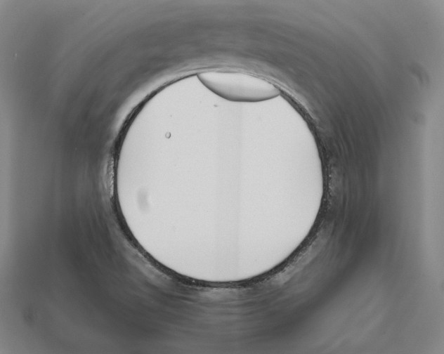 X0000112041510200909141106