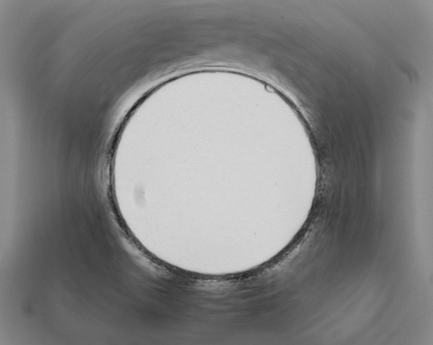 X0000112041511200909141106