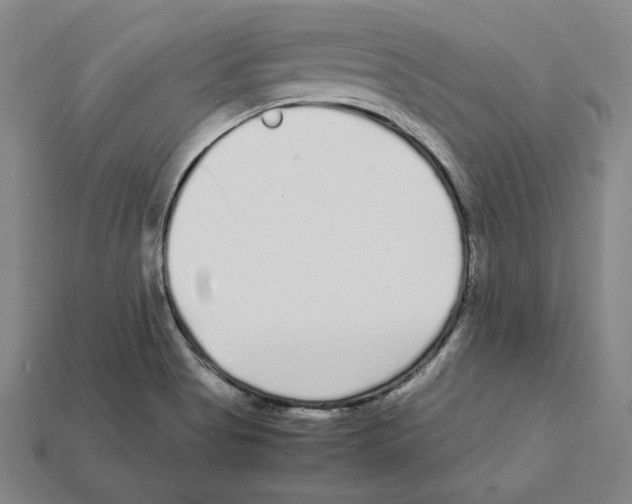 X0000112041513200909141107