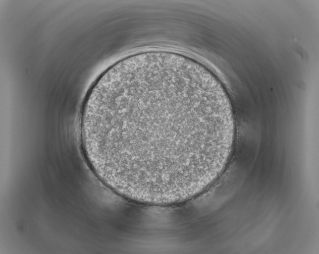 X0000112041514200909141107