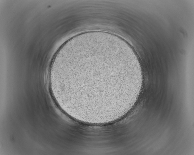 X0000112041515200909141107