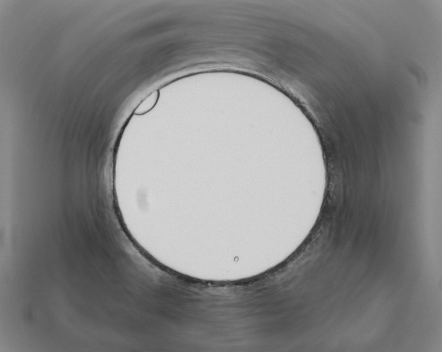 X0000112041516200909141107