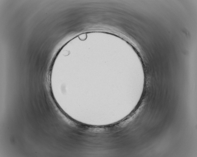 X0000112041517200909141107