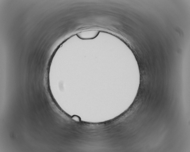 X0000112041518200909141107