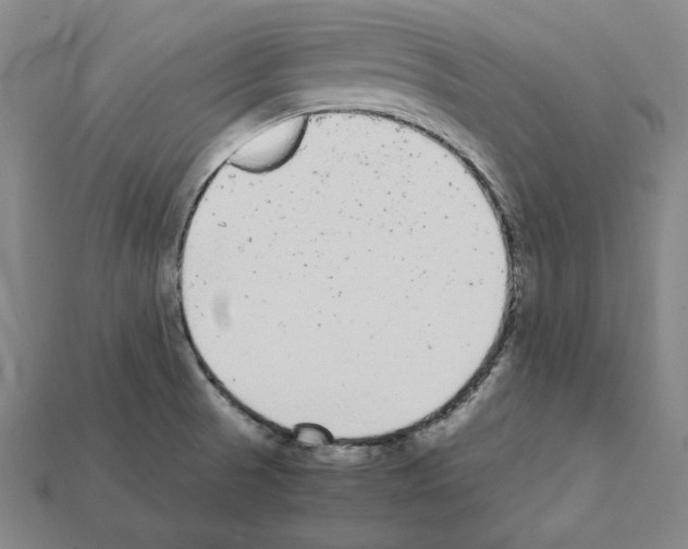 X0000112041521200909141107