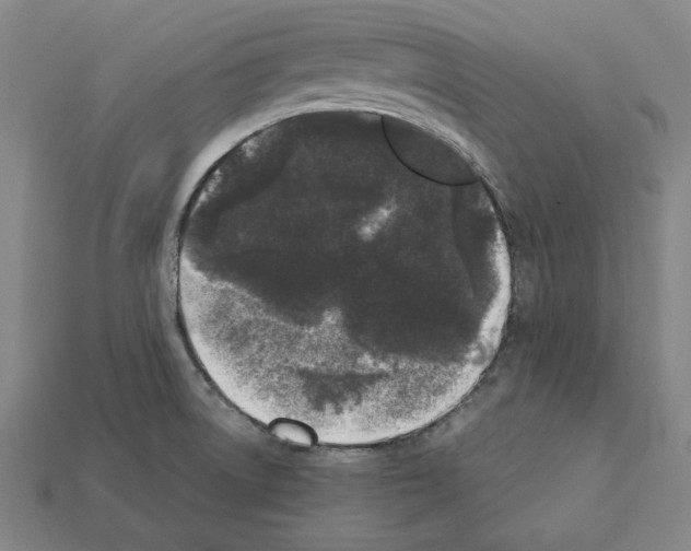 X0000112041522200909141107