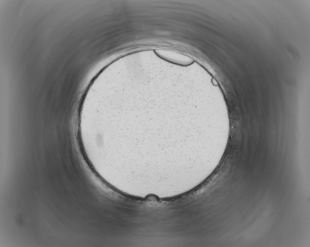 X0000112041523200909141107