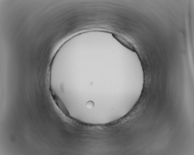 X0000112041524200909141107