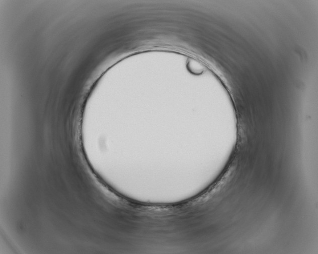 X0000112041525200909141107