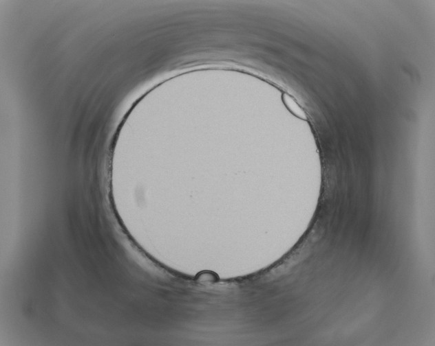 X0000112041526200909141107