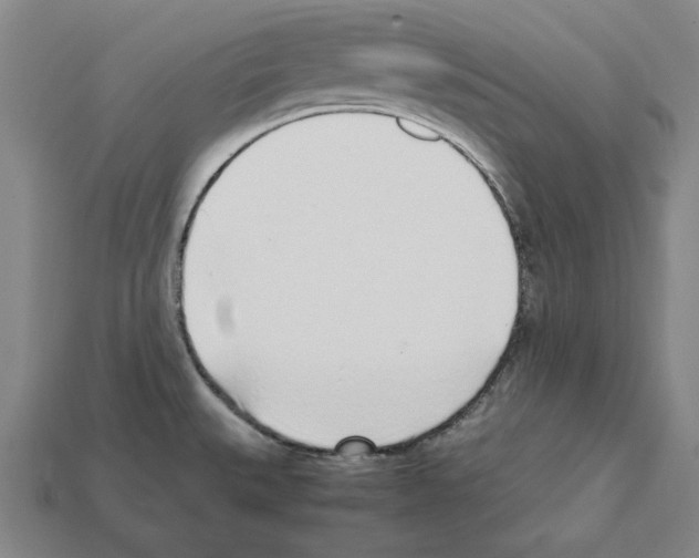 X0000112041527200909141107