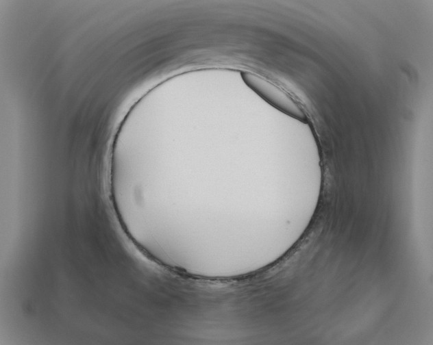 X0000112041528200909141107