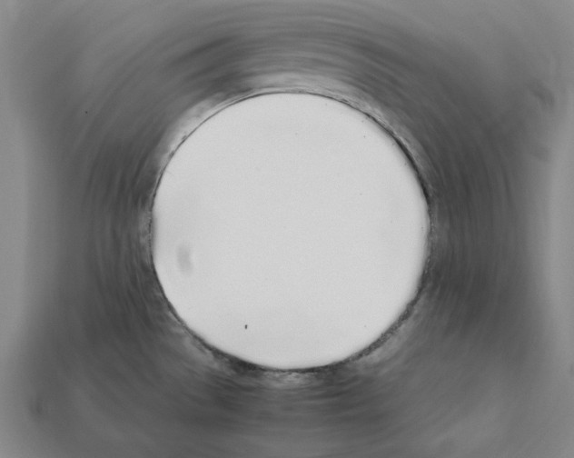 X0000112041529200909141107