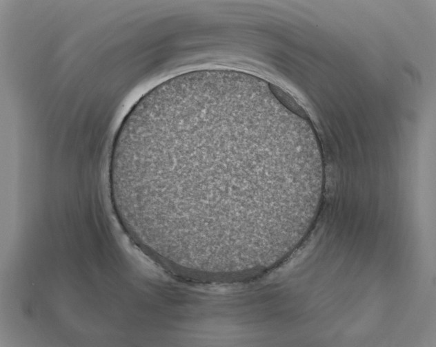 X0000112041530200909141107