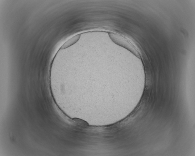 X0000112041532200909141107