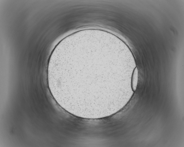 X0000112041534200909141107