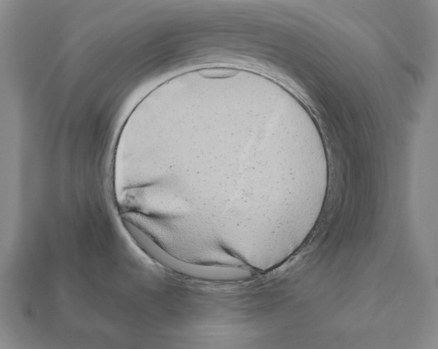 X0000112041536200909141107
