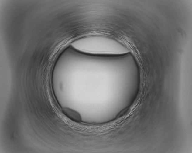 X0000112050001200908040959