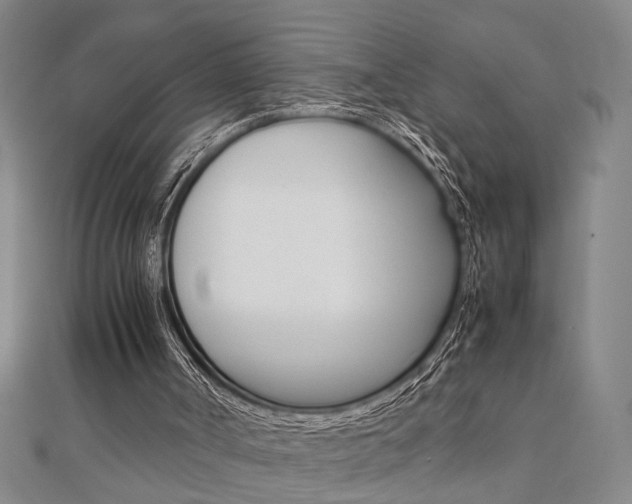 X0000112050002200908040959