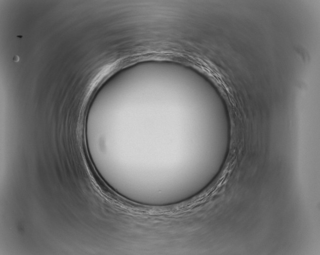 X0000112050003200908040959