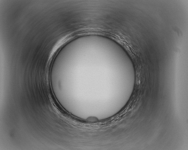 X0000112050004200908040959