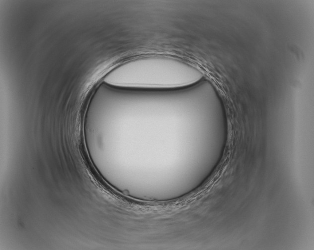 X0000112050005200908040959