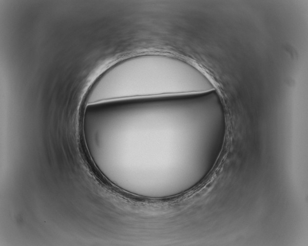 X0000112050008200908040959
