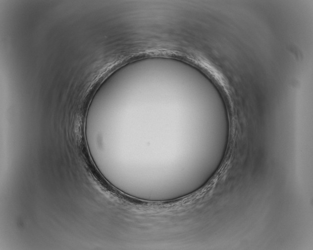 X0000112050009200908040959