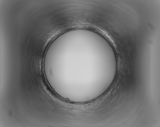 X0000112050010200908040959