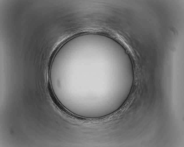 X0000112050011200908040959