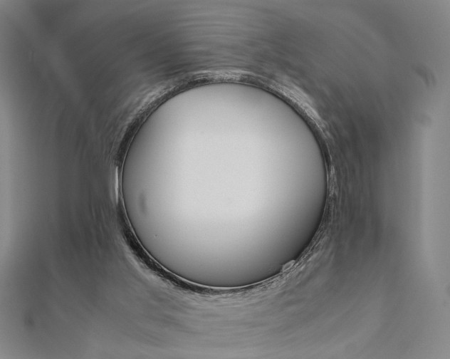 X0000112050013200908040959
