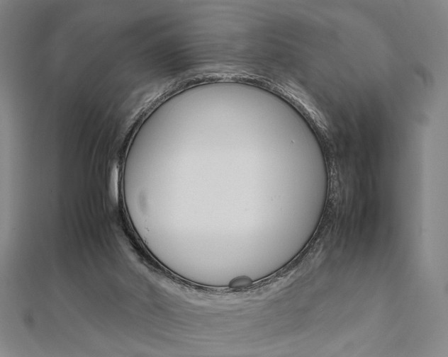 X0000112050014200908040959