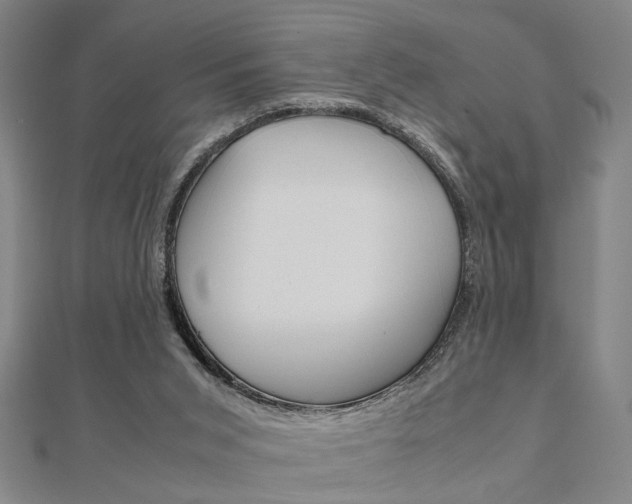X0000112050015200908040959